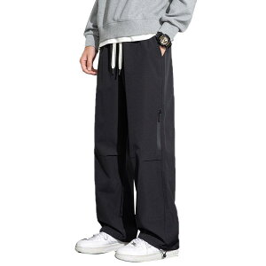 カーゴパンツ メンズ ストレート ワークパンツ ロングパンツ 男性用 ズボン 普段使い アウトドア ウェア ポリエステル 無地 ブラック 黒 グレー ブラウン 秋