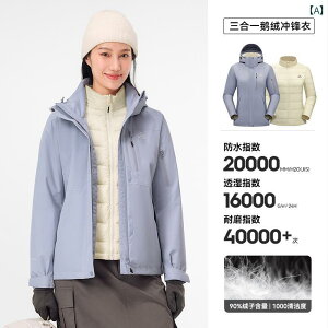 [ NVbN 20 | _E ] yI AEghA WPbg Y fB[X 3 C 1 O[X n t oR.JtJ[IV