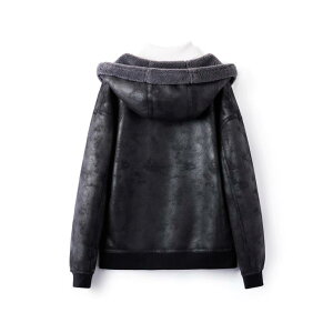 WPbg jp Wp[ N H~ h  oCN Fn 傫TCY t[ht