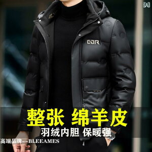 _EWPbg Y v U[ U[WPbg t[ht O\ H~ h g 傫TCY  am jp   O[