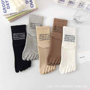 C fB[X H~ ܖ{w\bNX  Rbg a X|[c hL z ؍ 5Zbg