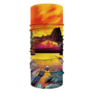 ネックウォーマー メンズ レディース UVカット 紫外線対策 接触冷感 防臭 スポーツ アウトドア サイクル ヘッドバンド フェイスガード スカーフ(x2)