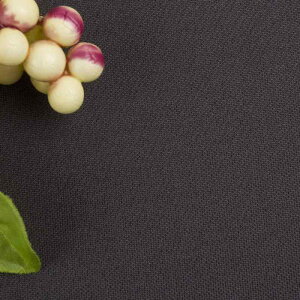 jbgn jp p X|[cEFA |GXe n҂ ʕ҂ n ʋC z TVc Ci[ EFA [EFA