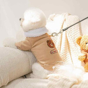 ybg H~   t[X efBxA AbvP 킢 Ȃ̕ L 񑫕s uE xA u[ rbg CG[ fj hbOEFA