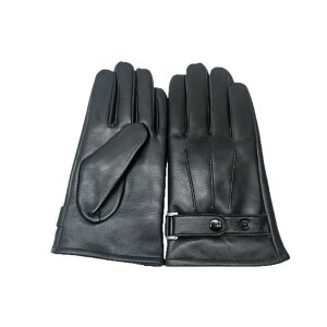  jp TCNO[u H~ rv v  ߐF AEghA oCN O[u