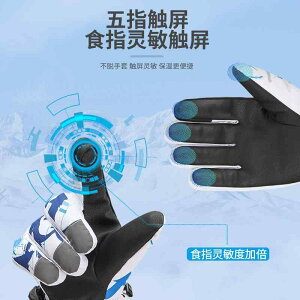  fB[X h O[u X}[gtHΉ N  ۉ h h oCN ] u[ O[ sN(x2)