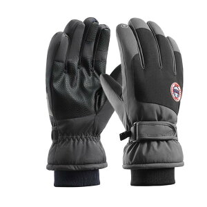  fB[X Y ~p XL[ N  h  oCN O[u X}[gtHΉ ~ߕt ʋ ʊw AEghA X|[c