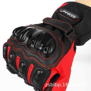  oCNp h h ۉ O[u H~ jp X}zΉ I[goC ] TCNO[u    u(x3)