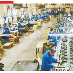 JC Y jp [Nu[c Ɨp C  ϖ ~ h  ubN