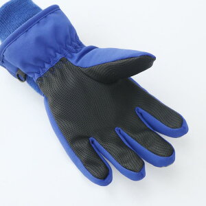  qp XL[O[u j̎q ̎q ~p h   N 5{w 킢 J[gD[ Pbg Fsm  jR[ ETM 2 3 4 5 6 7 8 9 10 11 12