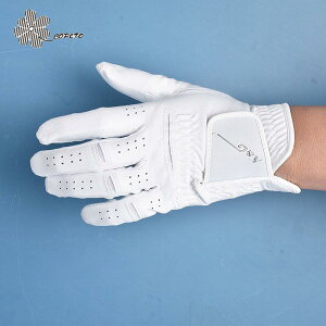 St Y StO[u jp p ~ ʋC @z StK Stpi(x5)