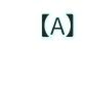  oCN Y jp TCN O[u ] [hoCN }EeoCN AEghA X|[c t H~  bh  u[  ubN  p[v