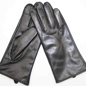  Y fB[X U[ H~ h g O[u V[vXL v €v AEghA (x3)