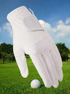 St Y jp ?z K ڐG⊴ ϖՐ StO[u Ўp  