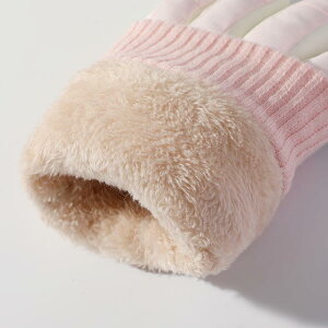  XL[ fB[X Y h h h O[u ^b`plΉ N  AEghA X|[c oR jp    sN