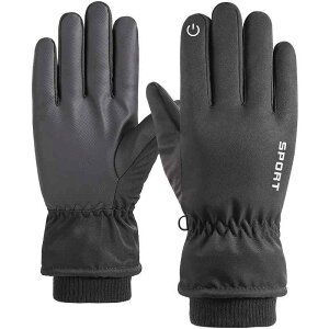  Y fB[X ~p h O[u oCN TCN ]  h g N X}zΉ  ubN sN(x2)