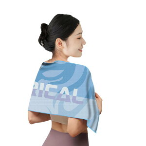 X|[c^I ⊴^I ɍב@ z K W tBbglX AEghA ^ ڐG⊴ vg 100cm×30cm  C̐