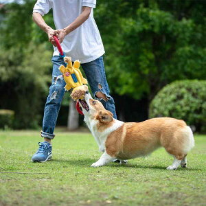 p [v ʂ g CI j ^ ^  ݑϐ v 200g