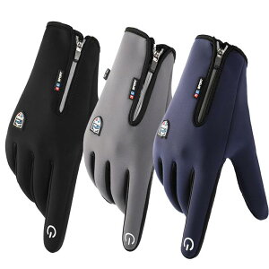  jp hO[u  N AEghA oR X|[c XL[ ~ oCN ʋ ʊw  O[ (x2)