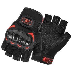 oCN O[u jp t ttBK[ n[BK[ ʋC ϏՌ ~ I[goC ] ^](x2)