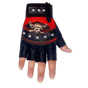  Y tėp TCNO O[u n[BK[ ~ ʋC ϖՐ AEghA X|[c oCN I[goC w g[jO   