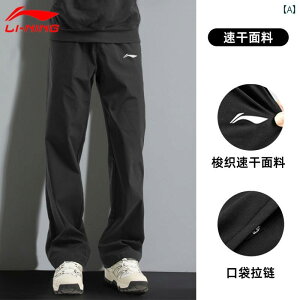 X|[c pc Y 2025 tH  D tbg AEghA W[ jO tBbglX O.IV