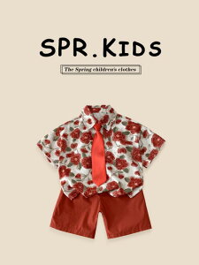 qpZbgAbv ĕ AnVc r[`pc 2_Zbg j̎q ][gX^C |GXe