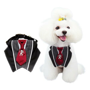 Lp  o_it ybgpANZT[ h?CI |GXe ubN XS S M L  L p tH[}  a nEB NX}X NNn(x2)