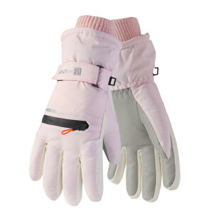  jp h h O[u X}[gtHΉ N  AEghA TCNO[u ] XL[ ~