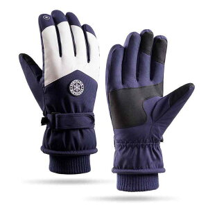  fB[X h Y O[u X}[gtHΉ h H~ AEghA g   O[ sN  XL[ XP[g TCNO(x2)