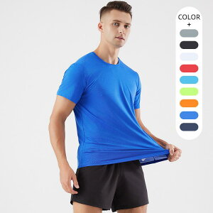 TVc Y jp  X|[cEFA AEghA jO g[jOEFA  |GXe n t H~ 󗕐F F