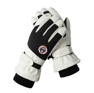  jp h O[u ] oCN XL[ EFA ԕ X|[c ^b`pl X}zΉ h