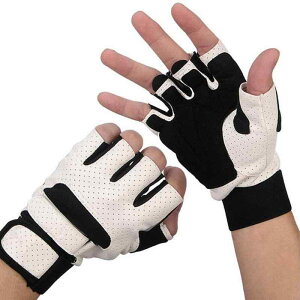  jp H~ AEghA X|[c n[BK[ v O[u ڐG⊴ ~ TCN ] W g[jO O[u |GXe(x3)