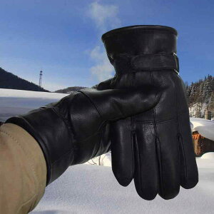 手袋 メンズ レディース 防寒 グローブ シープスキン 革 手袋 スマートフォン対応 男性用 女性用 ブラック ブラウン レッド ワインレッド ジンジャーイエロー ブルー 秋冬(x2)