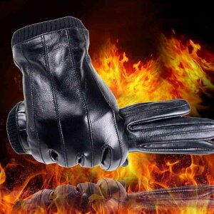  Y jp V[vXL O[u H~ h h h ~  v  X}[gtHΉ ig(x2)