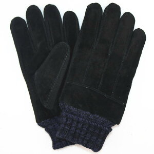  fB[X jp sbOXL XG[h O[u H~ h ۉ oCN ]  F ʋ(x3)