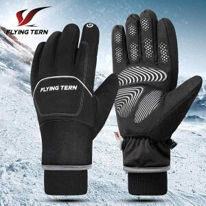  Y h O[u N TCNO[u oCN ~p X}[gtHΉ h jp ] I[goC ^]