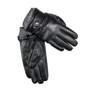  Y jp ~p h O[u v V[vXL U[ g am oCN AEghA X|[c ʋ ʊw ubN