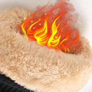  fB[X h O[u ~p X}[gtHΉ N  XL[ oCN AEghA