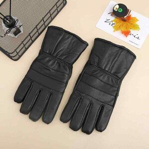 ��� �����Y �j���p ���U�[�O���[�u �h���O���[�u �v �V�[�v�X�L�� ���N�� �X�}�z�Ή� �h�� �h�� ����~�� �A�E�g�h�A �o�C�N ���]�� �ʋ� �ʊw �H�~(x12)