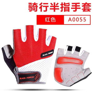  jp p X|[c TCNO O[u ėp wȂ ~ ϏՌ |GXe   