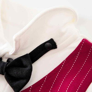 xr[ j̎q p[X Jo[I[ tH[} Rbg tH Zj[ am  a H 50 60 70 80(x3)