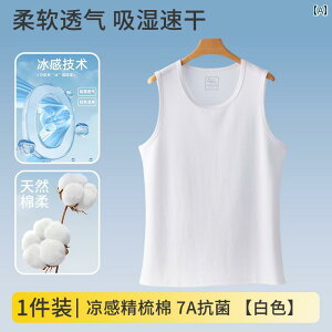 2025N RbgxXg Y    ʋC m[X[u EGXg R[g n[h XEFbg X|[c tBbglX