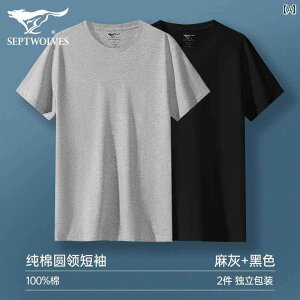 Y   XEFbg   Vl Vc I[Rbg  Ci[EFA V[X xXgJtJ[IV