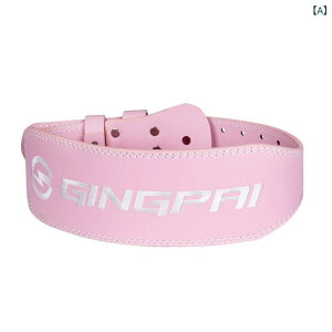 pxg fB[X Y EGCgg[jO ؃g XNbg fbhtg p[teBO ی   v 10cm 15cm sN O[ ubN