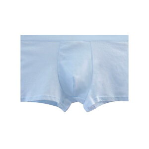 pc Y jp  ĝ V[c Zp ʋC  n zCg u[ O[ 4TCY I[V[Y(x2)