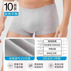 pc jp  ĝ s g  傫TCY {NT[pc gNX p V[c hL