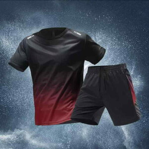 X|[cEFA Y ڐG⊴ TVc n[tpc ㉺Zbg g[jOEFA |GXe ig [EFA t