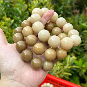 uXbg     20mm ?Y jp q F  _ ANZT[ RNV