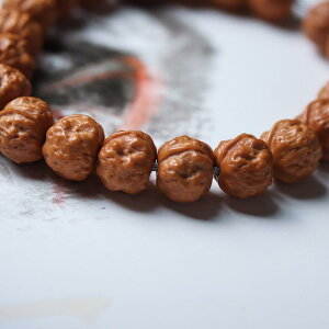 uXbg Y fB[X ? j uXbg  r jp GXjbN 